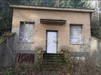 Prodej unikátního pozemku 1463 m2 u obce Hašlovice, na samotě v lese. - 4