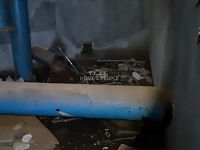 Prodej unikátního pozemku 1463 m2 u obce Hašlovice, na samotě v lese. - 7