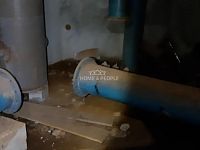 Prodej unikátního pozemku 1463 m2 u obce Hašlovice, na samotě v lese. - 8