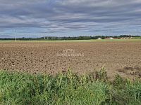 Prodej pozemku, 12361 m2, Malešovice - 2