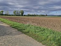 Prodej pozemku, 12361 m2, Malešovice - 6