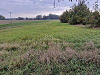 Prodej stavebního pozemku ve Cvrčovicích  - 5