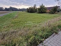 Prodej stavebního pozemku ve Cvrčovicích  - 6