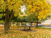 Byt 3+1 Brandýs nad Labem 86m - 23