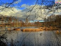 Pronájem bytu 1+1, 40 m2, Obora u Lochovic, okr.Beroun - 23