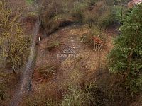 Pozemek 1247m obci Brtnice - 6