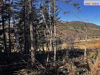 Pozemek pro výstavbu určenou k rekreaci - 11