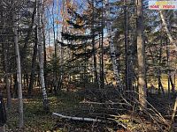 Pozemek pro výstavbu určenou k rekreaci - 12