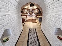 Pronájem Vinárny v Pasohlávkách - 17