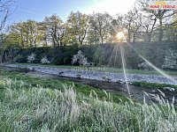 Pronájem byt 1+1, 41 m2, Obora u Lochovic - 18