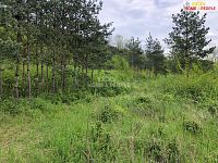 Prodej komerčního areálu Přívory - Všetaty - 12