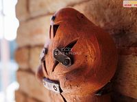 Prodej nadstandardní zděné chaty  Hrušovany u Brna - 15