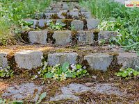 Prodej chaty u řeky Sázavy - 28