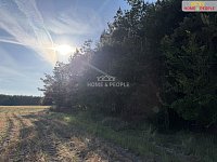 Prodej lesa 4.000 m2, Háje u Příbrami, okr. Příbram - 10