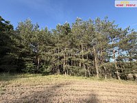 Prodej lesa 4.000 m2, Háje u Příbrami, okr. Příbram - 11
