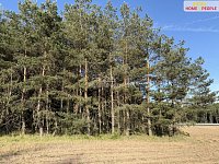 Prodej lesa 4.000 m2, Háje u Příbrami, okr. Příbram - 3
