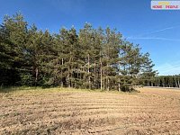 Prodej lesa 4.000 m2, Háje u Příbrami, okr. Příbram - 4