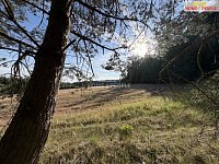 Prodej lesa 4.000 m2, Háje u Příbrami, okr. Příbram - 5
