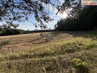 Prodej lesa 4.000 m2, Háje u Příbrami, okr. Příbram - 7