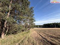 Prodej lesa 4.000 m2, Háje u Příbrami, okr. Příbram - 8