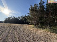 Prodej lesa 4.000 m2, Háje u Příbrami, okr. Příbram - 9
