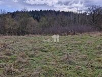 Prodej pozemku o 2983m2 ve Zlaté u Kynšperka nad Ohří - 5