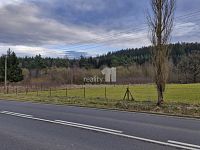 Prodej pozemku o 2983m2 ve Zlaté u Kynšperka nad Ohří - 7