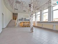 Pronájem kanceláří, od 20 m2 Liberec - 13