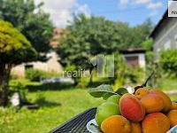 Prodej , zemědělská usedlost, 72 m2, Perštejnec  - 9