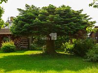 Chalupa nebo rodinný dům v Myslívě - 25