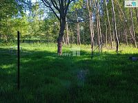 Prodej zahrady Česká Lípa - Žizníkov - 9