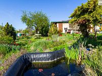 Prodej zahrady 418 m2 s chatou 18 m2 - 6