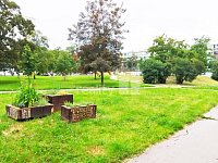 K pronájmu zrekonstruovaný byt 3+kk, 47 m2, Nekvasilova, Praha 8 – Karlín - 16