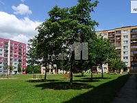 Pronájem bytu 2kk+L na sídlišti Lada - 12