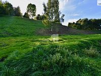 Pozemek - stavební parcela Police nad Metují - 2