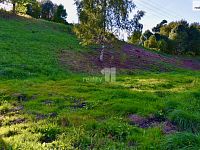 Pozemek - stavební parcela Police nad Metují - 6