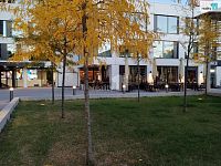 Prodej bytu 2+kk (38m2), lodžie, Vinohradská, Praha 10 - 5