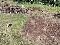 Prodej pozemku, 1050 m2, Slunečná, Aš - 4