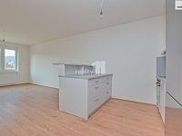 Pronájem bytu 2+kk, 66 m2, vč. parkování a sklepa, ul. Tovární, Liberec  - 4