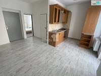 Pronájem, byt 1+1, 35 m2, se zahradou, Dobřany, ul. Palackého - 2