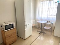 1+1 slunný byt s balkónem - 5