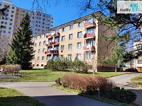 Zařízený byt 1+1, 35m2, cihla, Praha 3 - Žižkov - 11