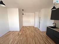Pronájem bytu 1+kk, 32 m2, novostavba, nezařízený, Dobřichovice - 3