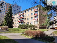 Zařízený byt 1+1, 35m2, cihla, Praha 3 - Žižkov - 11
