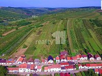 Prodej, vinný sklep s apartmánem, 183 m2, Bořetice - 29