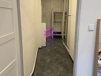 Prodej bytu 45 m2, dispozice 1+1, na ulici Domažlická, Brno - Královo Pole - chodba.jpeg