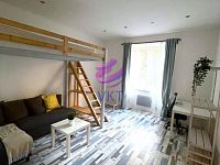 Prodej bytu 45 m2, dispozice 1+1, na ulici Domažlická, Brno - Královo Pole - pokoj.jpeg