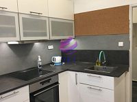 Krátkodobý pronájem bytu 45 m2, dispozice 1+1, na ulici Domažlická, Brno - Královo Pole - kuchyň _1.JPG