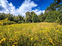 PRODEJ STAVEBNÍ PARCELY NA BYDLENÍ, PŘEDNÍ VÝTOŇ - 25-08-22 Přední Výtoň Pozemek Foto_05.jpg