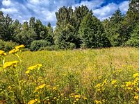 PRODEJ STAVEBNÍ PARCELY NA BYDLENÍ, PŘEDNÍ VÝTOŇ - 25-08-22 Přední Výtoň Pozemek Foto_06.jpg
